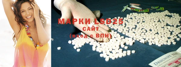 ECSTASY Чекалин