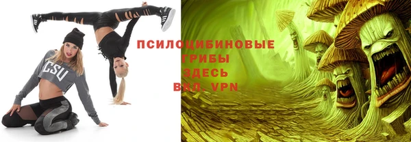 apvp Карталы