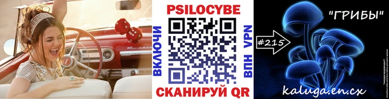 Псилоцибиновые грибы Psilocybine cubensis Купить закладки Мамадыш